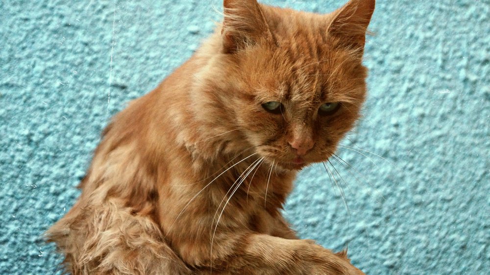 Photograph by Артём Горбань