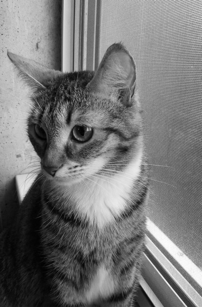 Photograph by  Марина Сергеевна