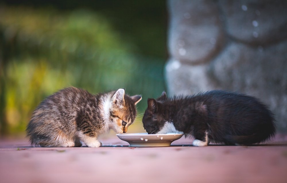 Photograph by Сергей Крюков