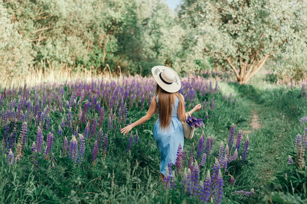 Русский Прованс