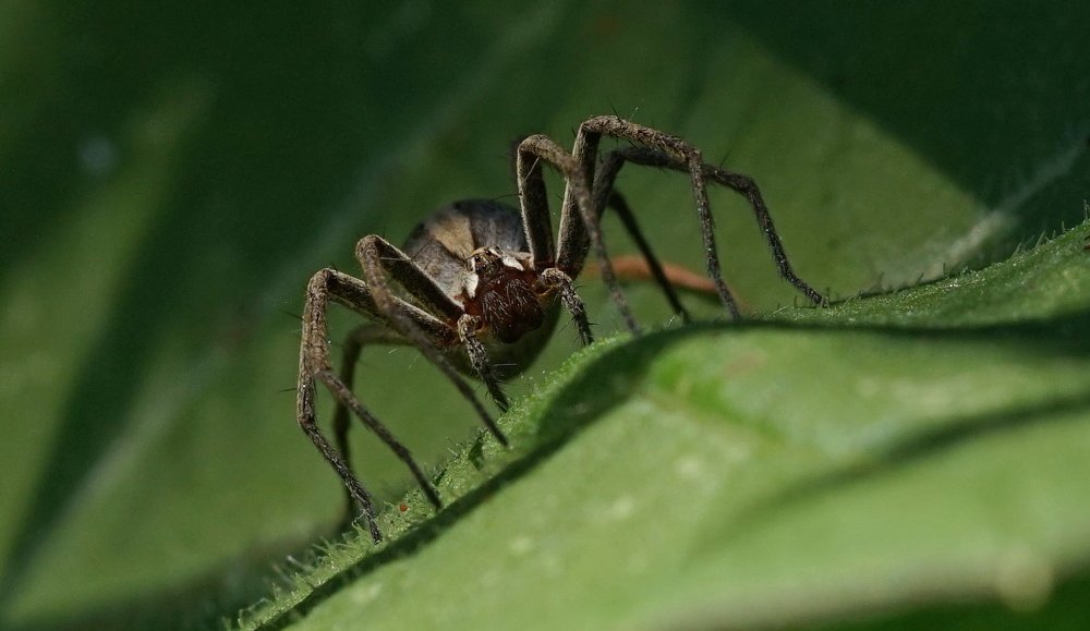 Photograph by Андрей Шартов