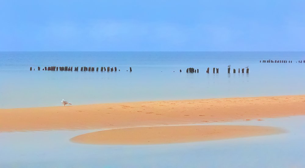 Этюд в голубых тонах