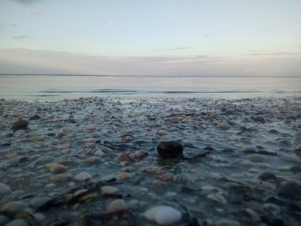 Photo #3390366