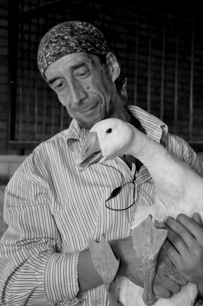 Хозяин гусей