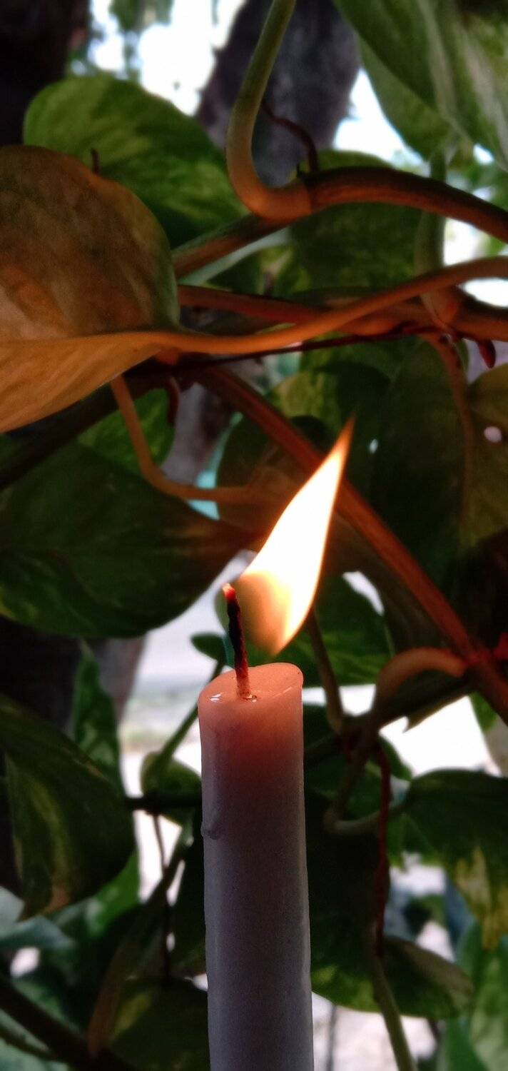 lilin