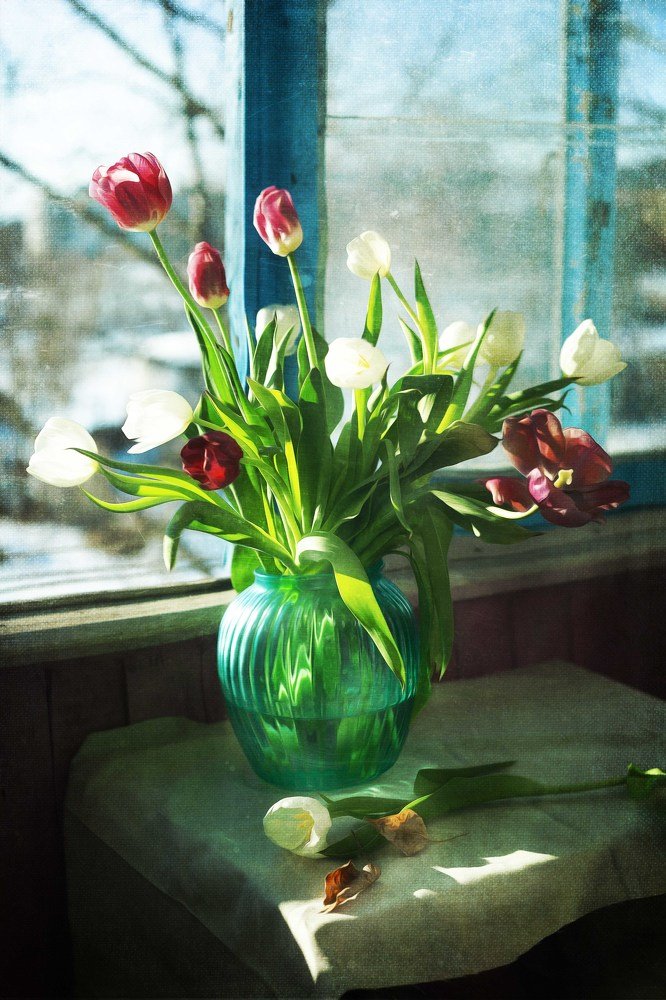 Photograph by Алена Пайвина