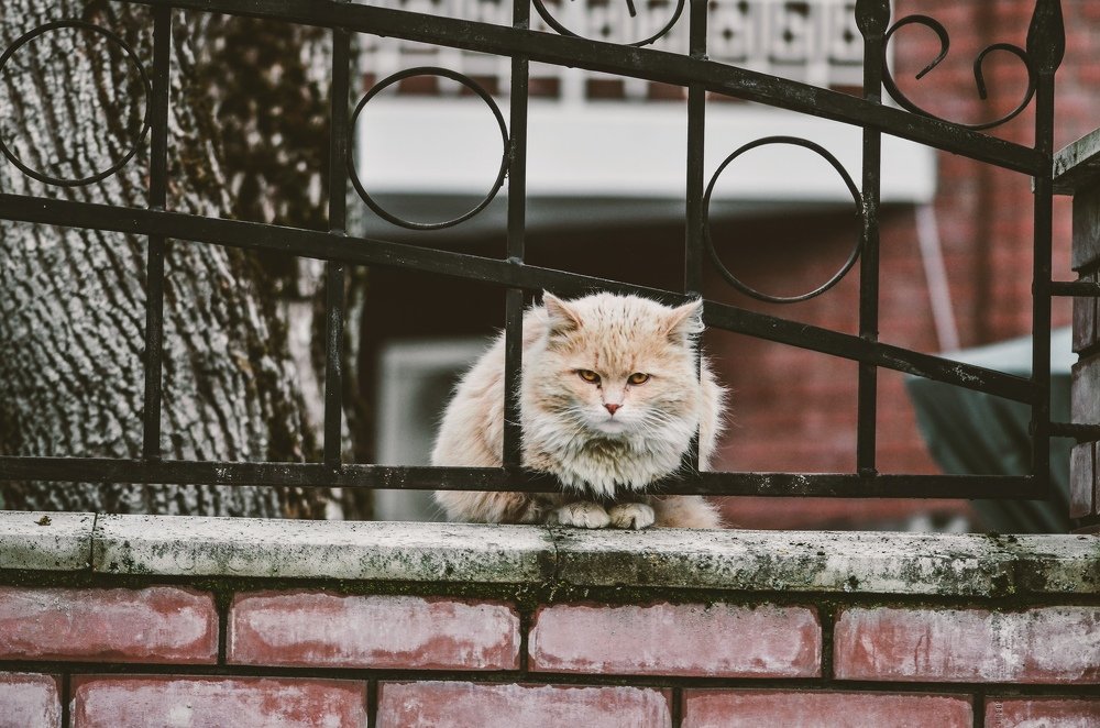 А мне так удобно!