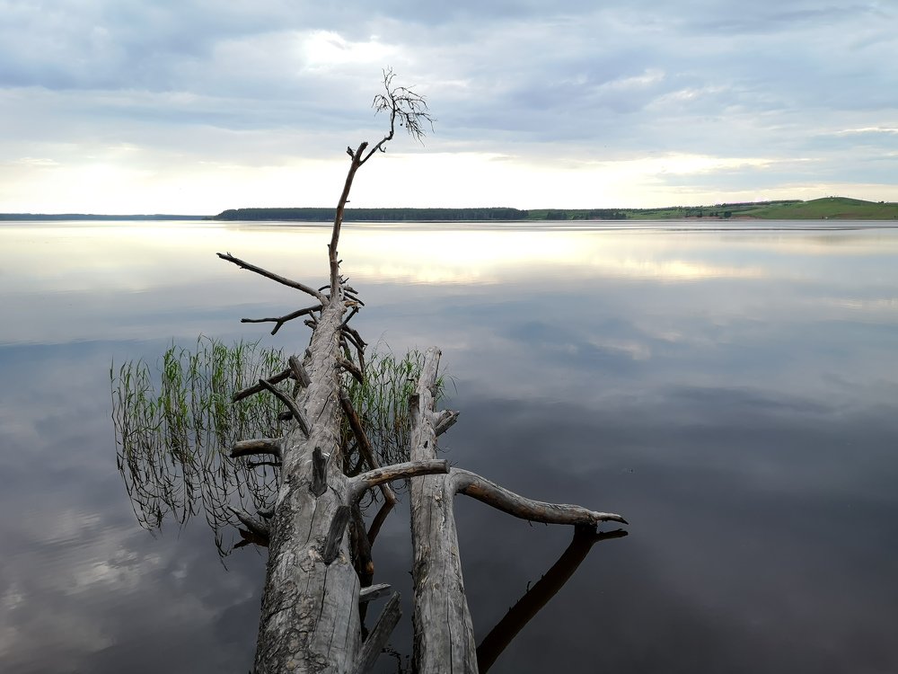 Photograph by Сергей Марценович