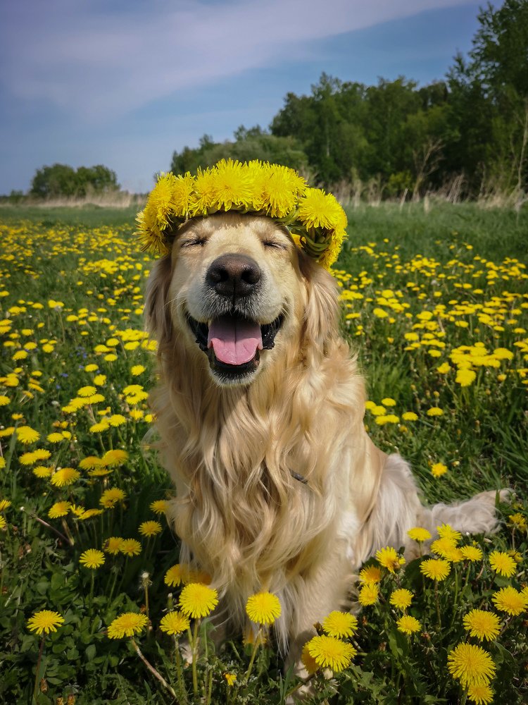 Photograph by Сергей Марценович