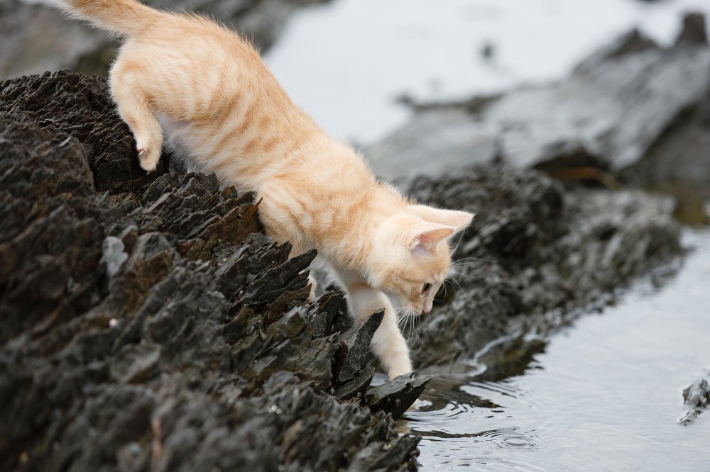 Photograph by Андрей Одинцов