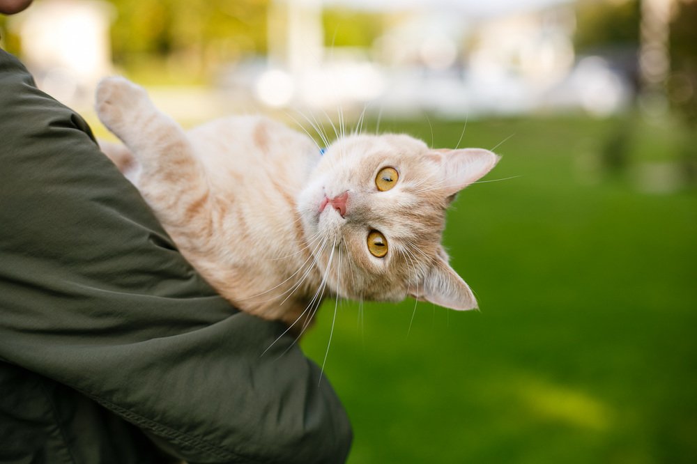 Photograph by Андрей Одинцов