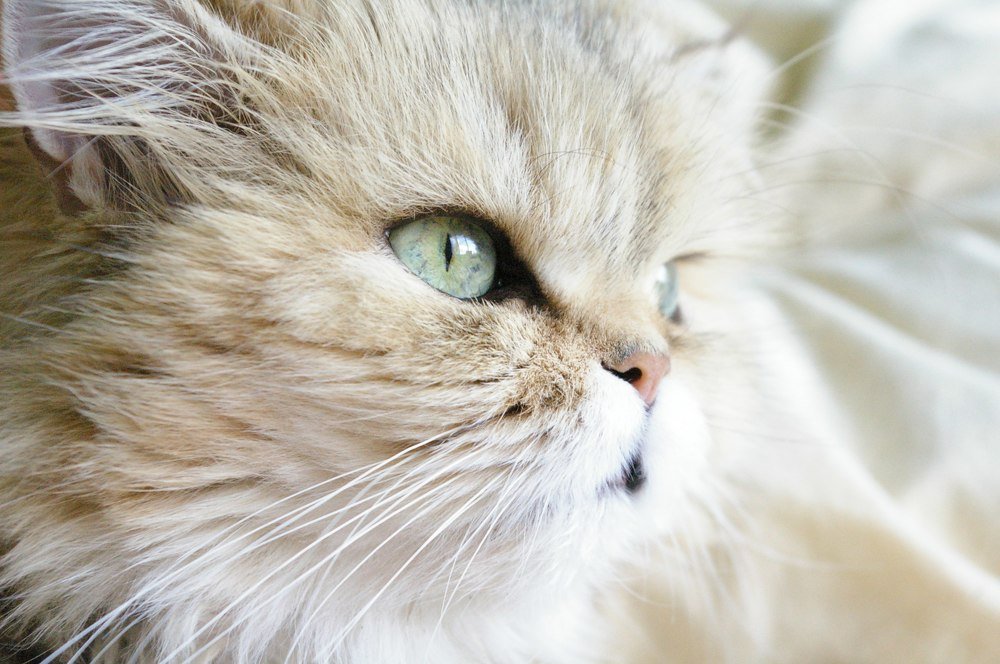 Photograph by Екатерина