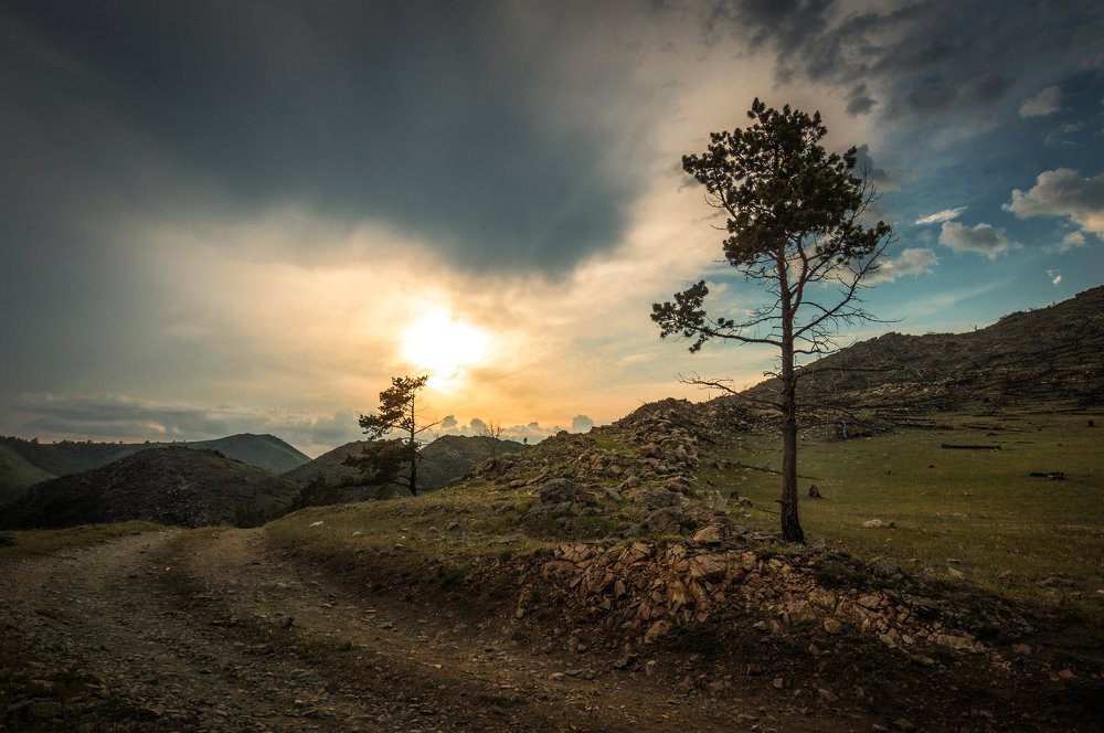 Photograph by Арсений Чекмарёв