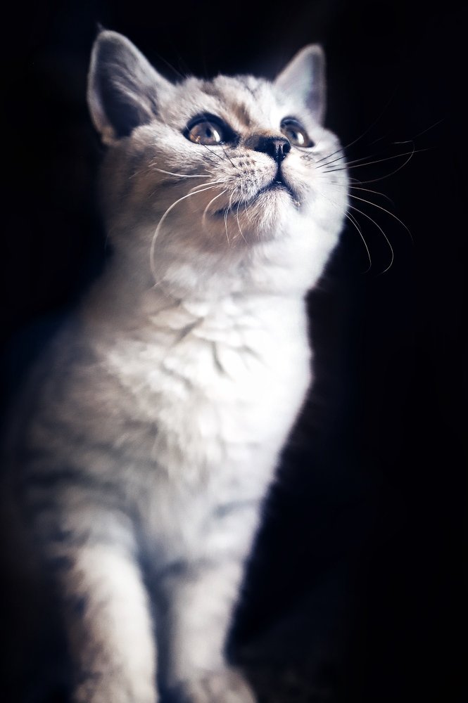 Маленькая шкодница