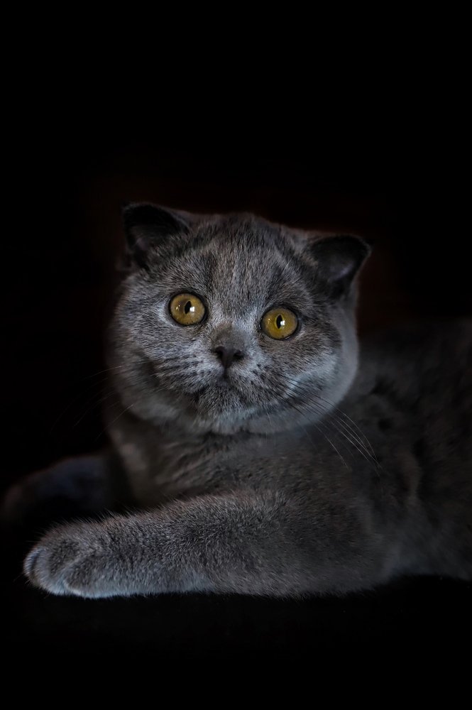 Удивительный мир в удивительных глазах