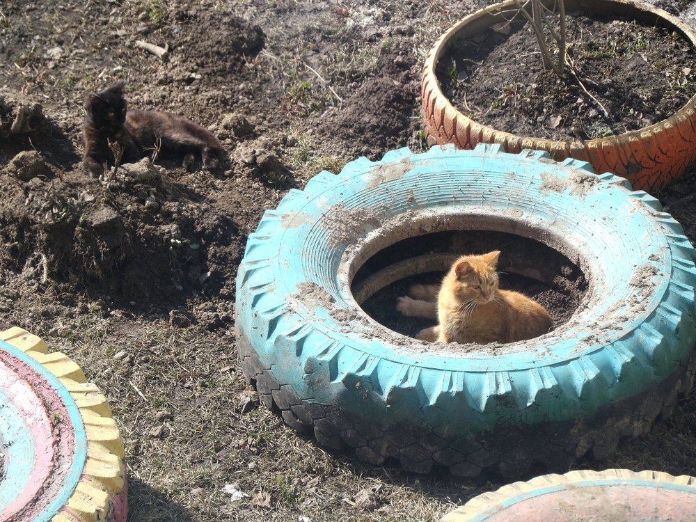 Photograph by Елена Лапина