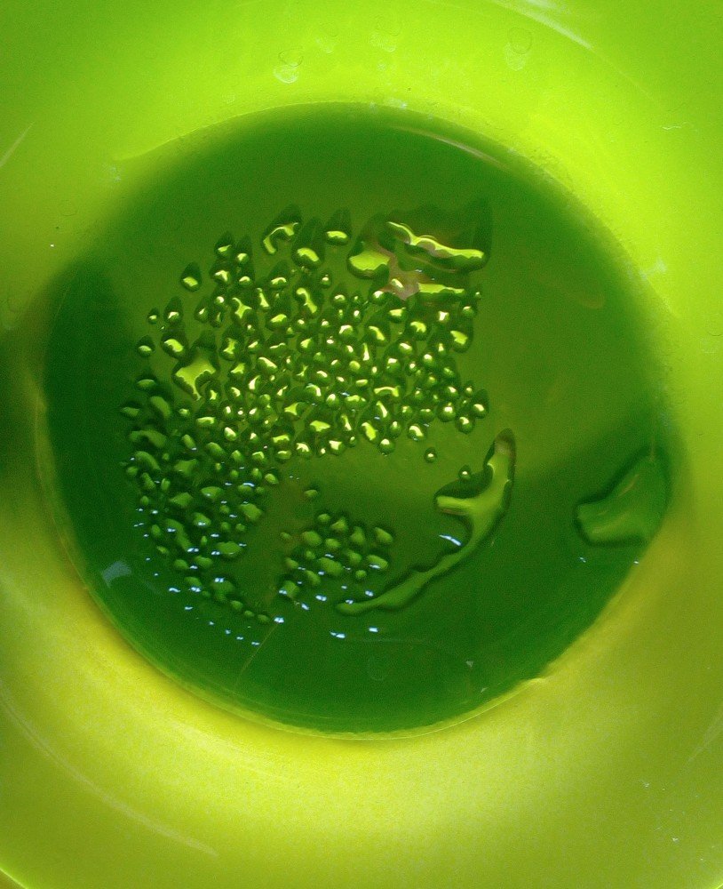 Зарождение жизни