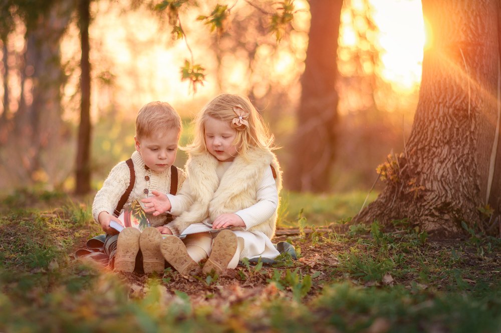 Лесная сказка