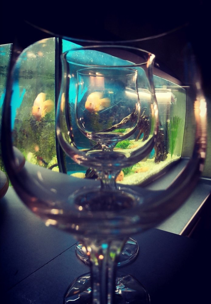 Фотография автора Екатерина Антонова