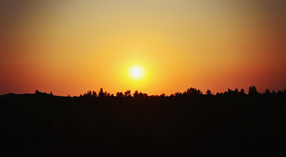 Photograph by Наталья Лещинская