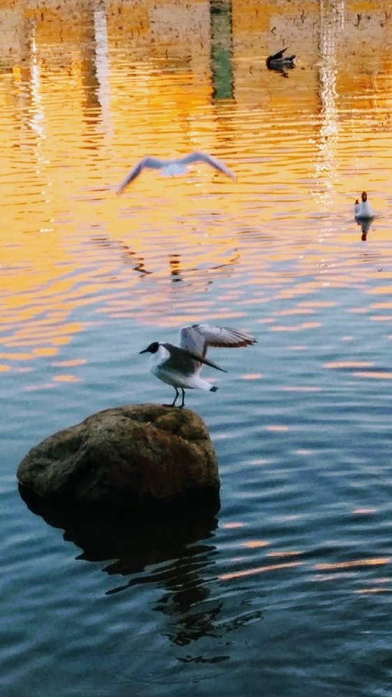 Photograph by Александра