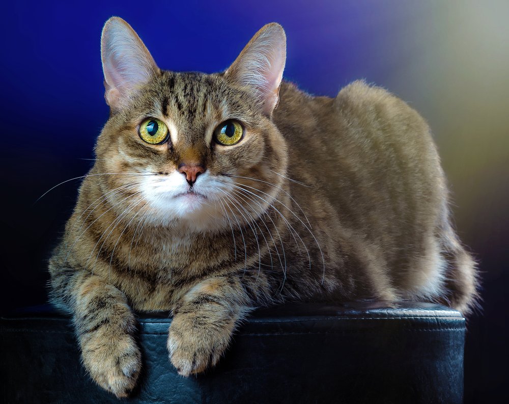 На фотосессии