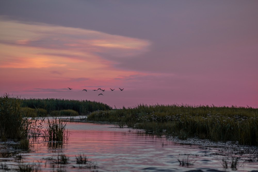 Астраханская область, Раскаты в июле