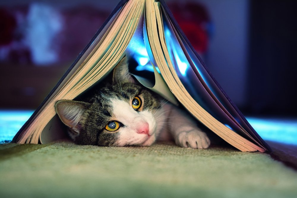 Photograph by Устюжанин Михаил