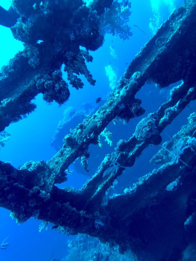 Other part of wreck