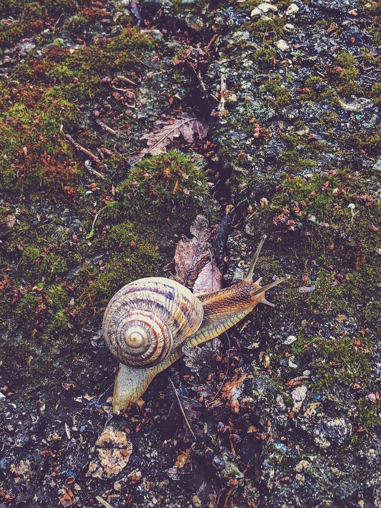 После дождя