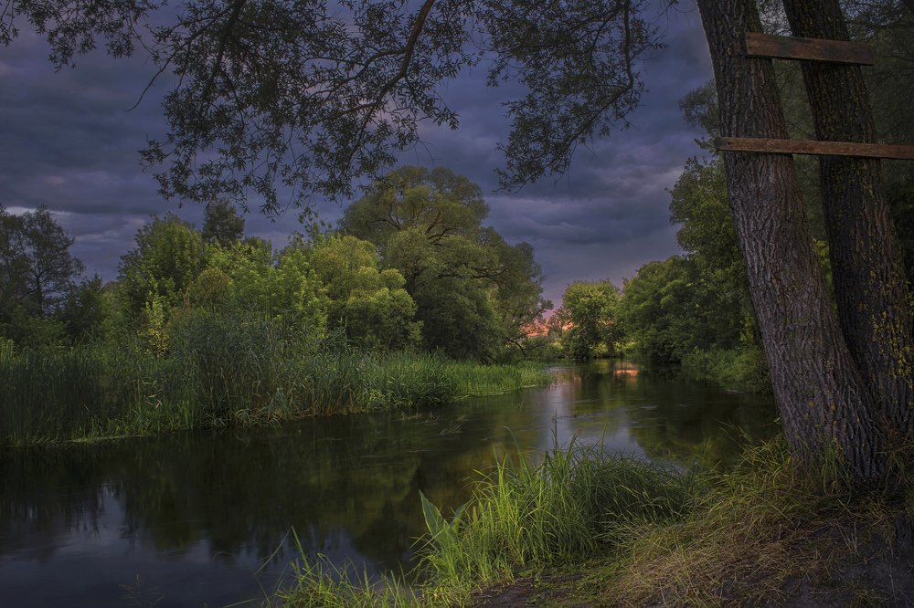 Сумерки на р. Нежеголь.