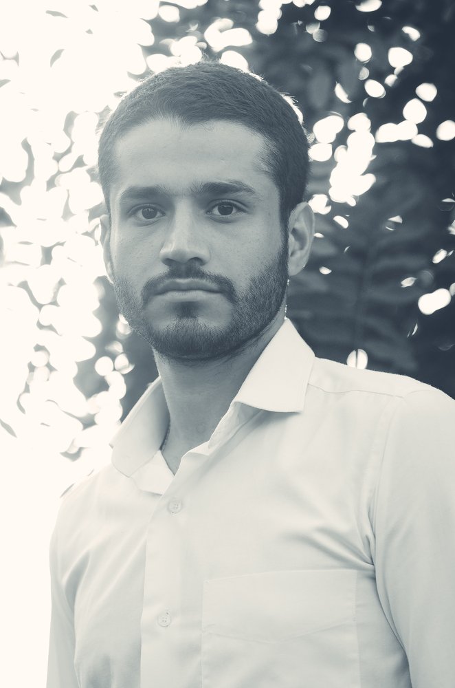 Party of leaves and trees!