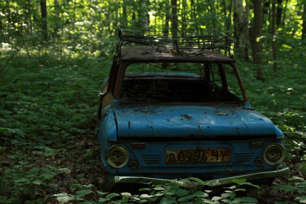 Photograph by Владимир Ясюкевич