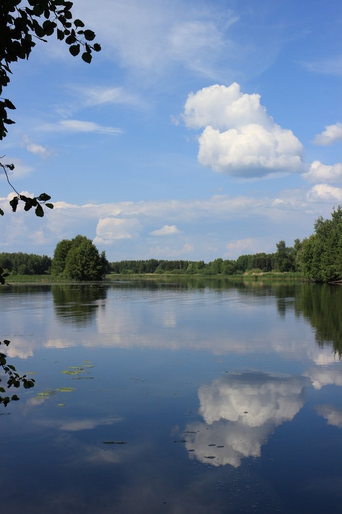 Photograph by Владимир Ясюкевич