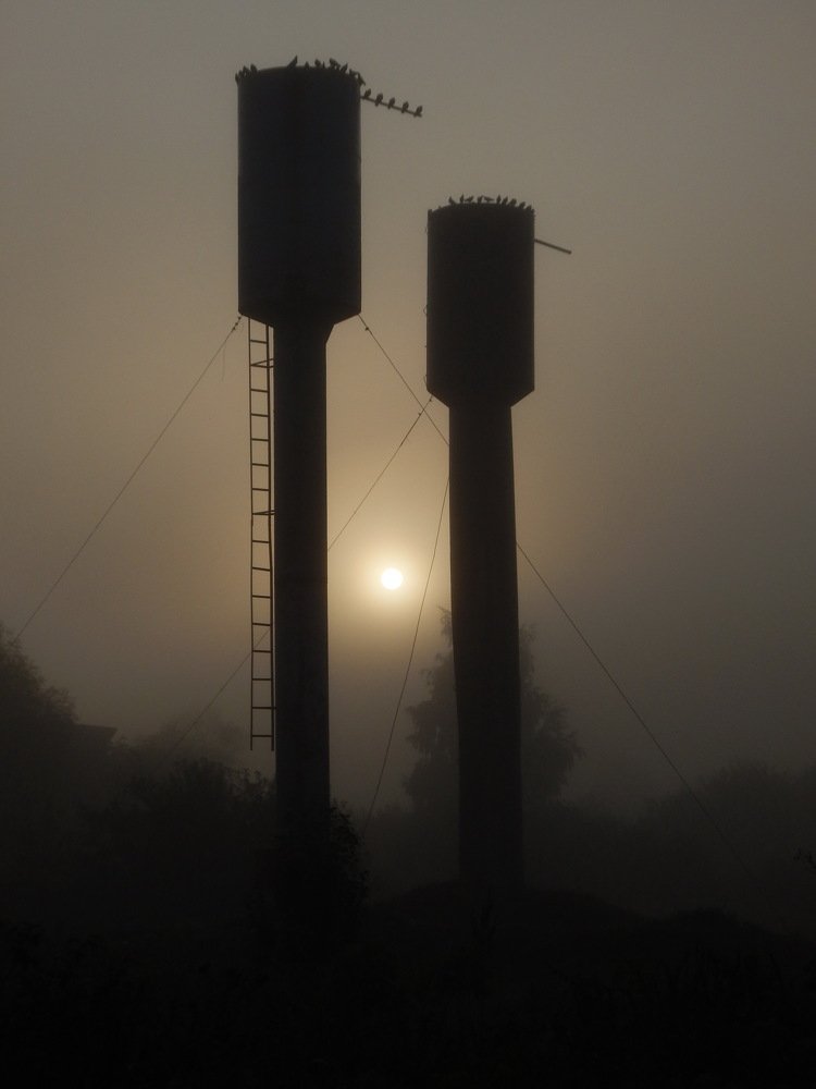 Технологический рассвет