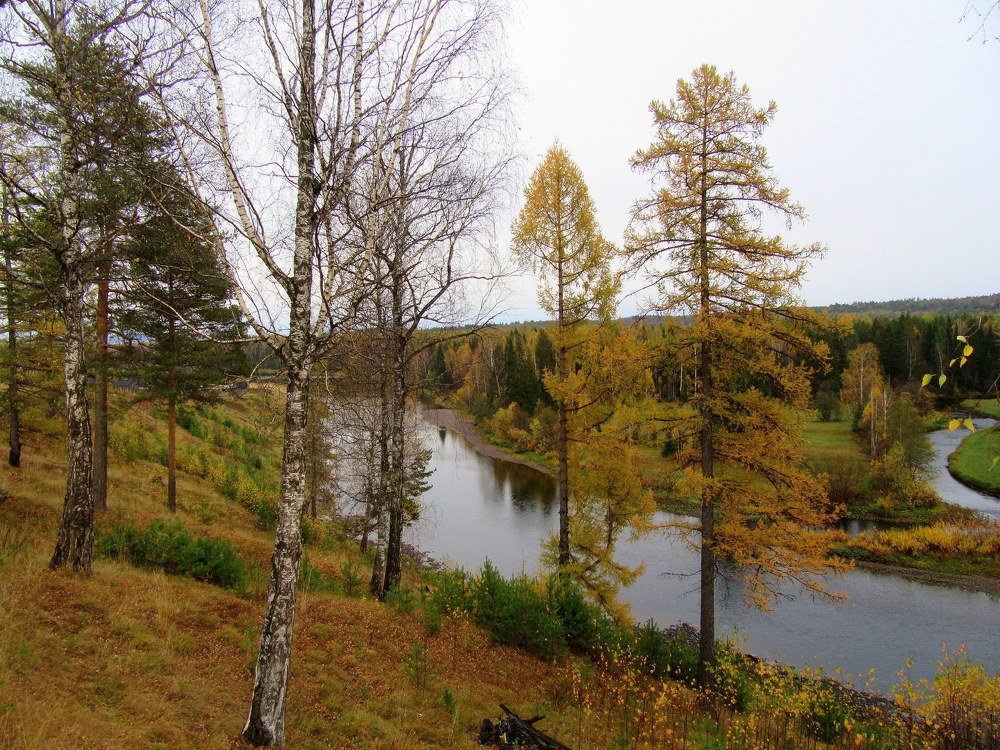 Река Сосьва и поселок Сосьва.
