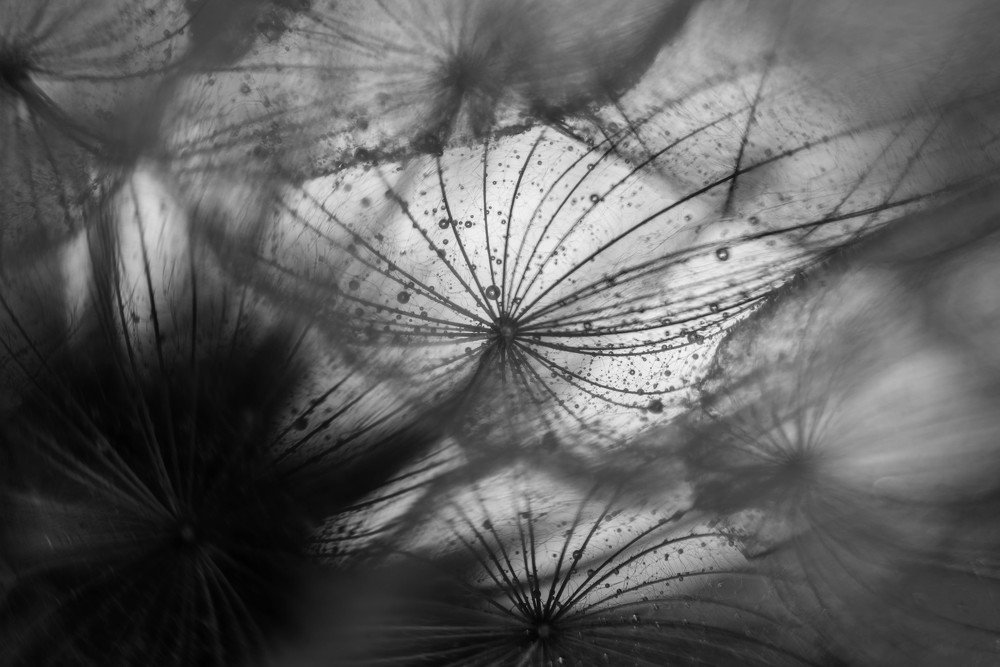 Photograph by Наталья Лещинская