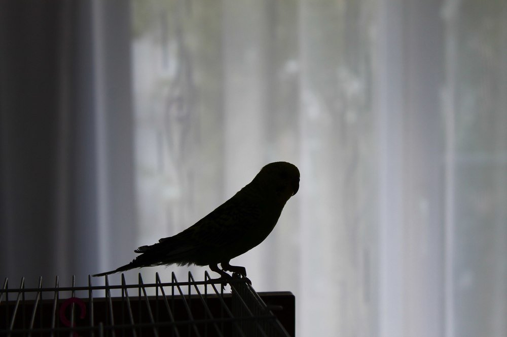 Photograph by Анастасия Клевакина