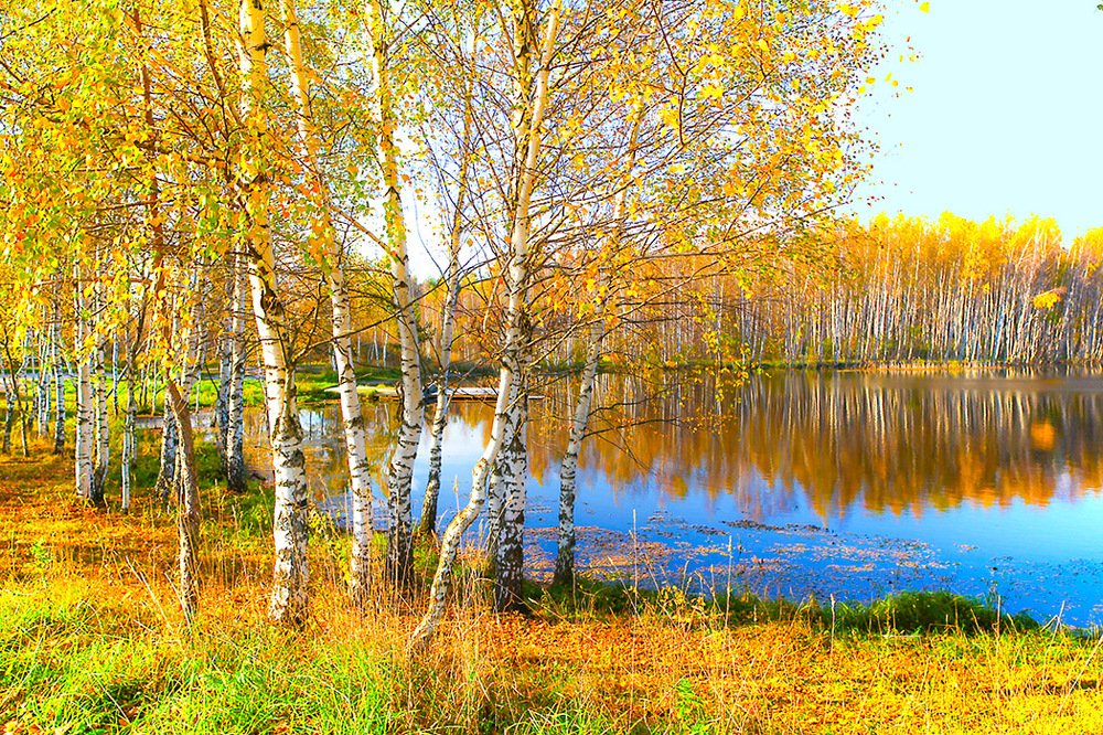 Золотистый день