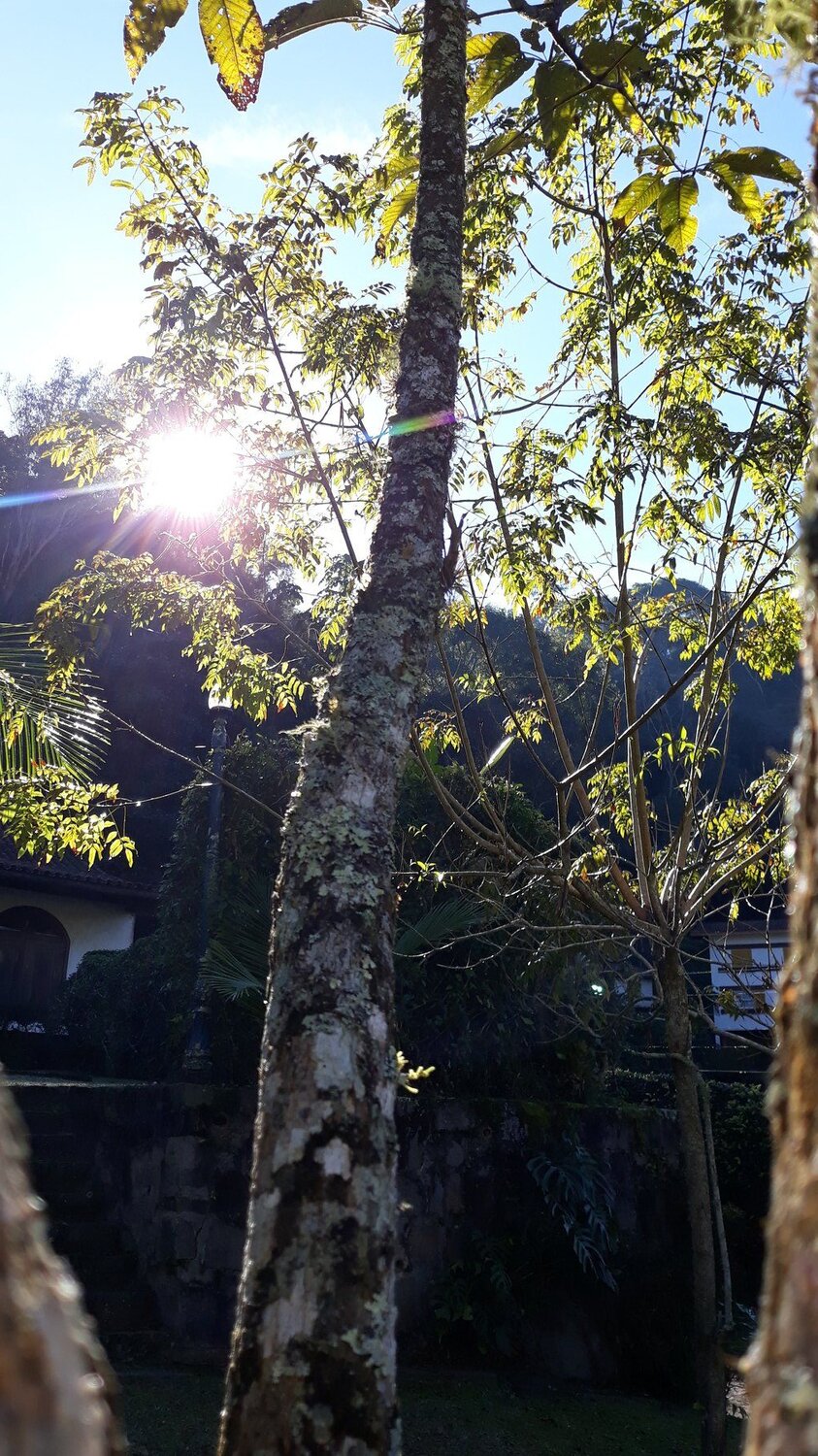 n°2