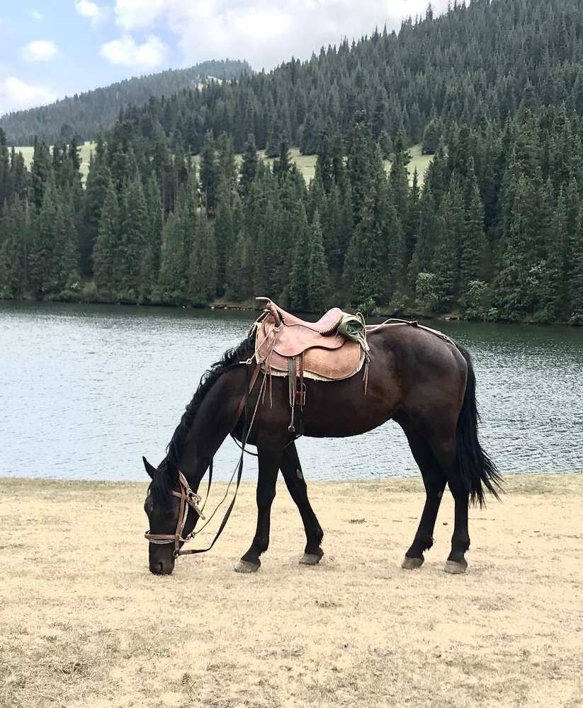 Photograph by Анар Амирова