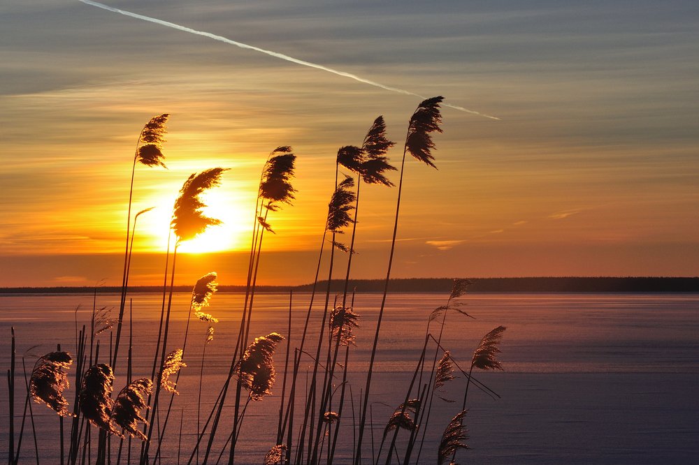 Зимний закат. Ветрено и морозно.