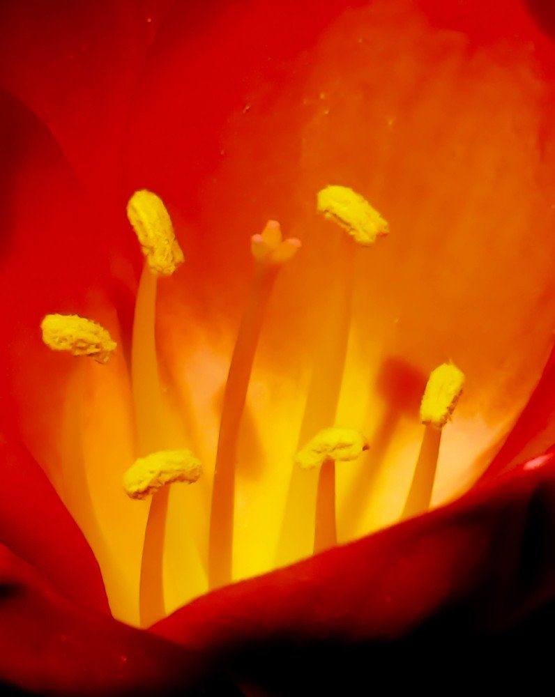 Photograph by michael