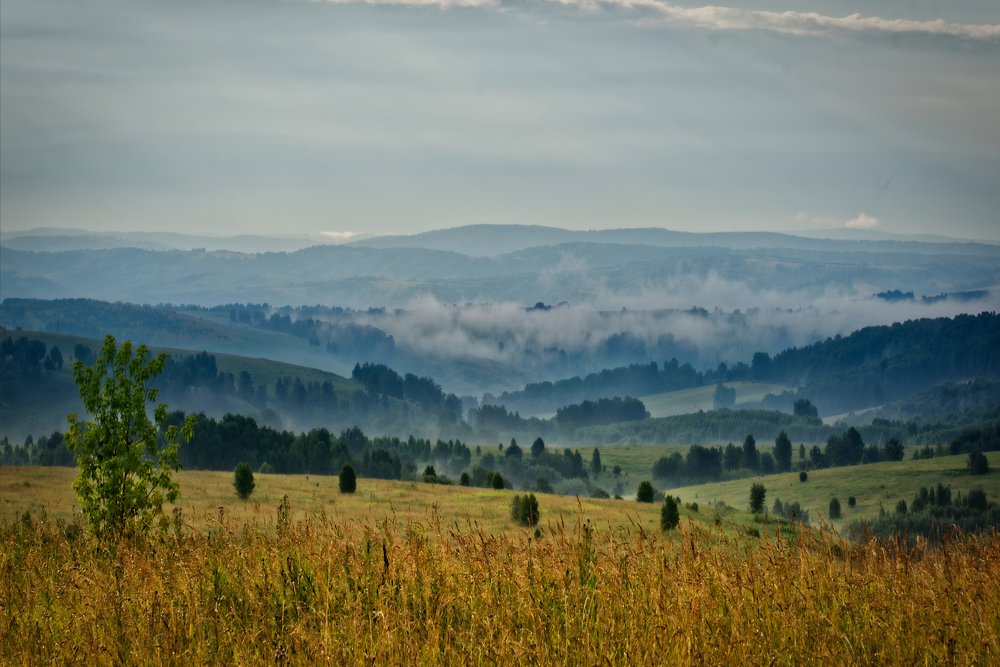 Photograph by Михаил Рогачев