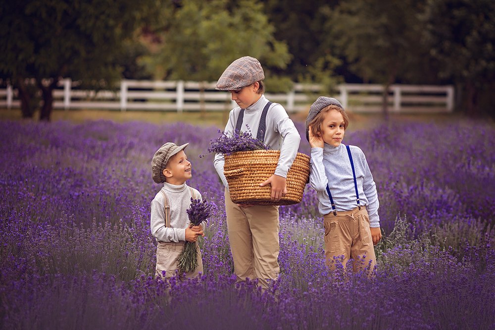 Лавандовый вечер