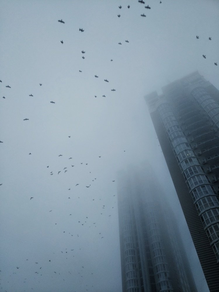 Photograph by Анна Айбетова