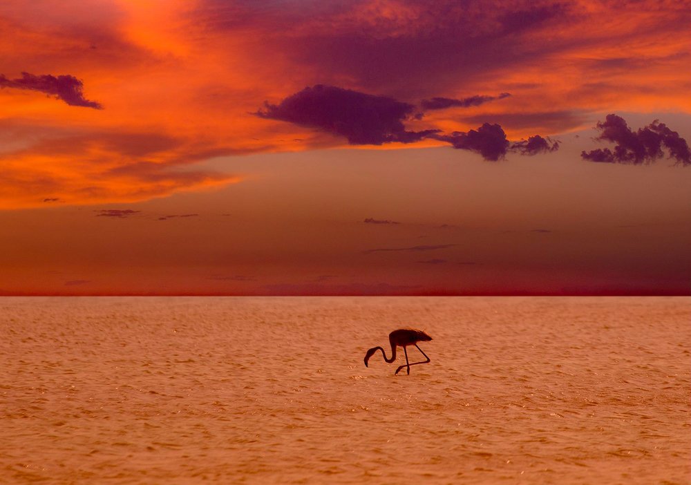 Дитя заката...