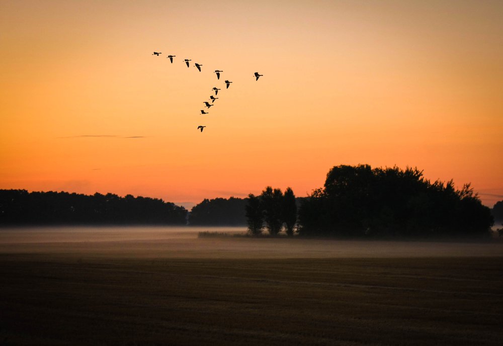 Звезда по имени Солнце