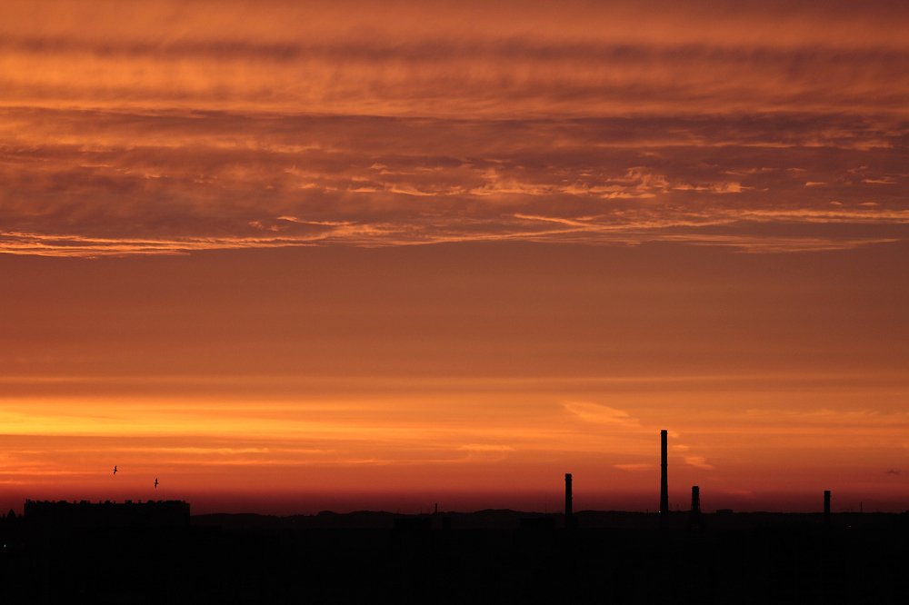 тьма. свет. две птицы.