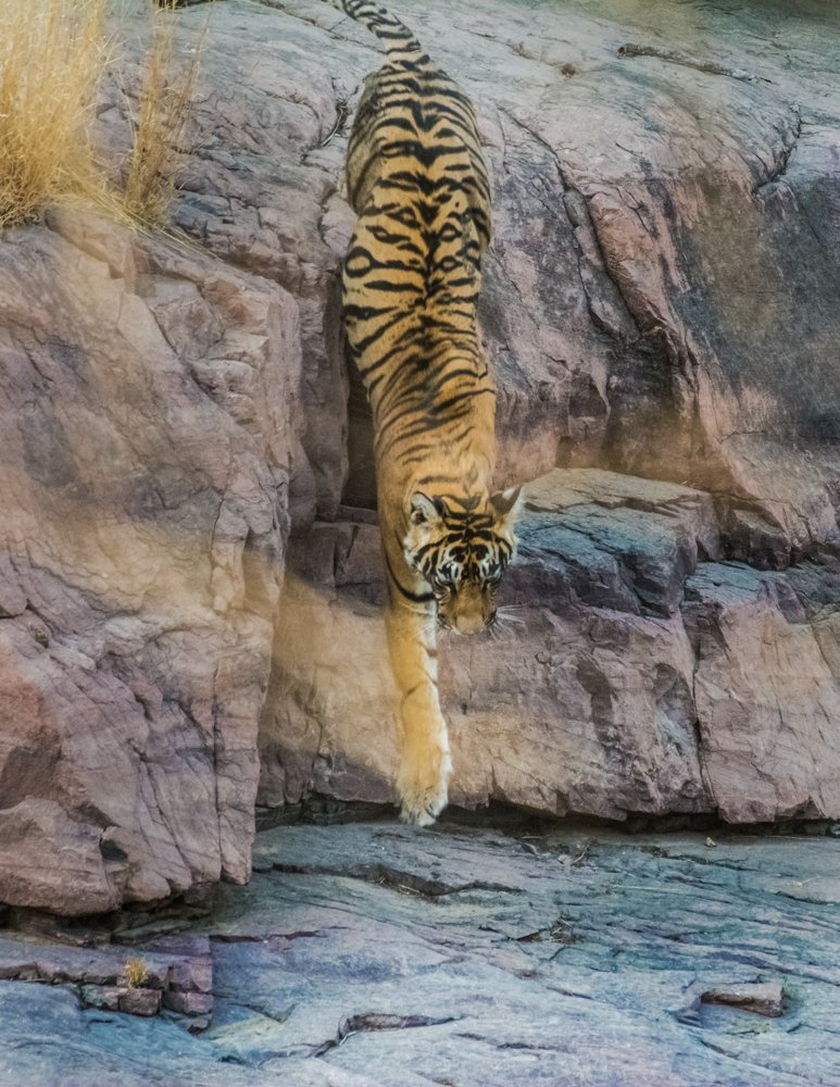 On Jump